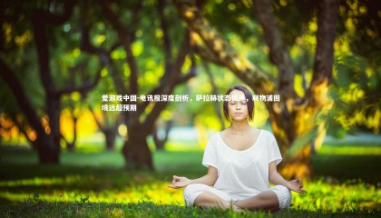 爱游戏中国-电讯报深度剖析，萨拉赫状态低迷，利物浦困境远超预期