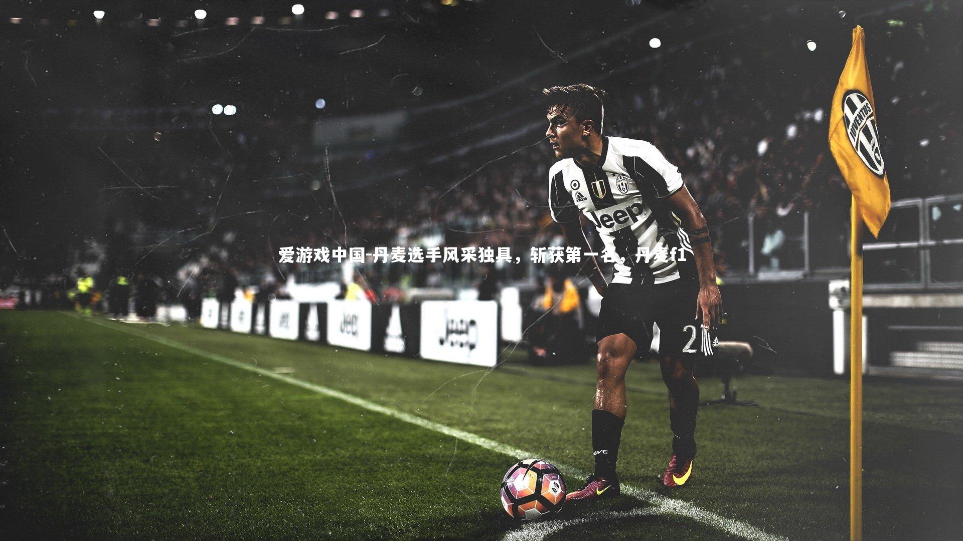 丹麦选手风采独具，斩获第一名，丹麦f1