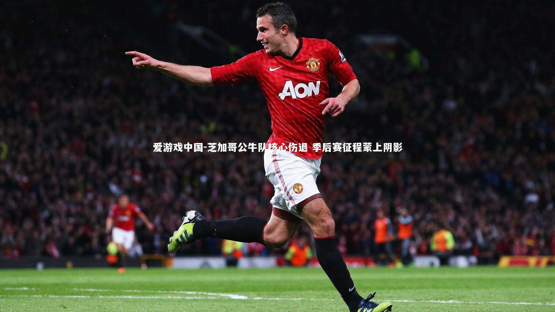 芝加哥公牛队核心伤退 季后赛征程蒙上阴影