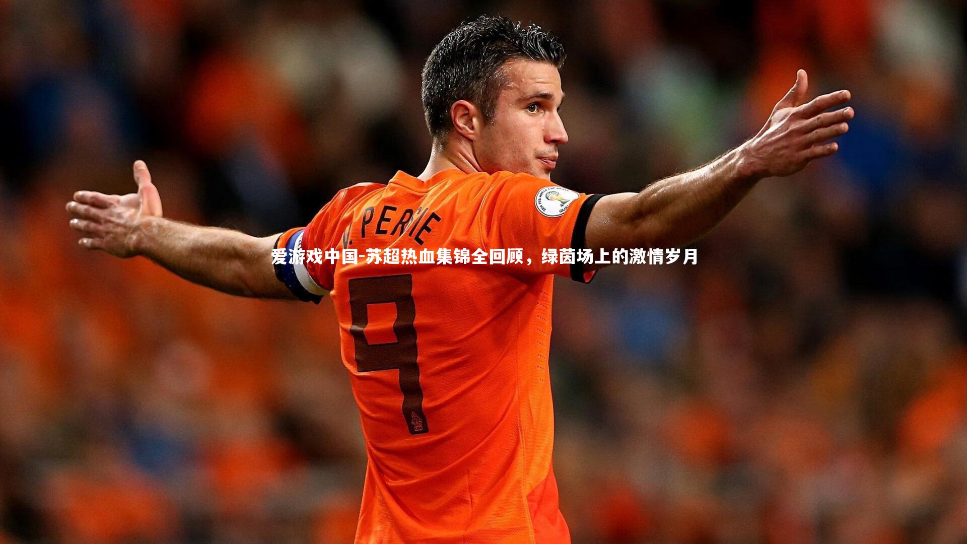 苏超热血集锦全回顾,绿茵场上的激情岁月